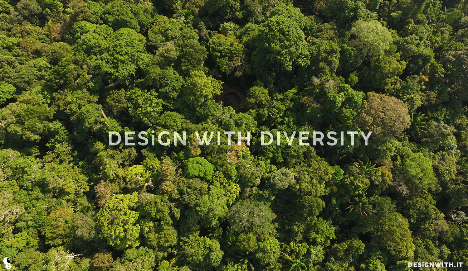 Design with diversity. Design with it!